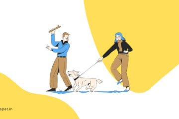 couple playing with a dog